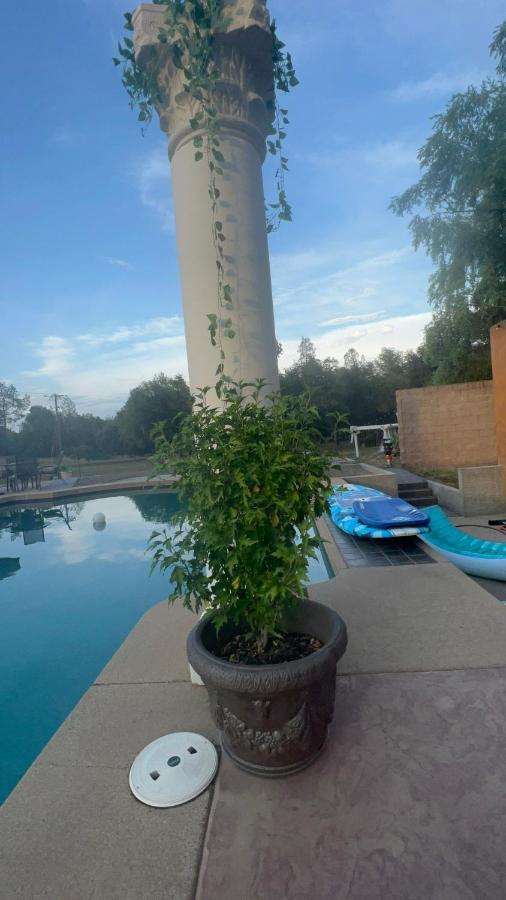 The Oasis Apartment Redding Exterior foto